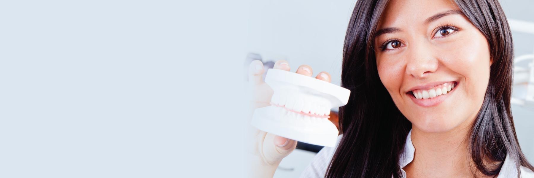 Woman holding model of teeth at dentist near me Denver